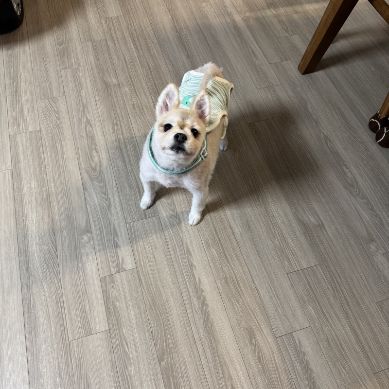 하늘이