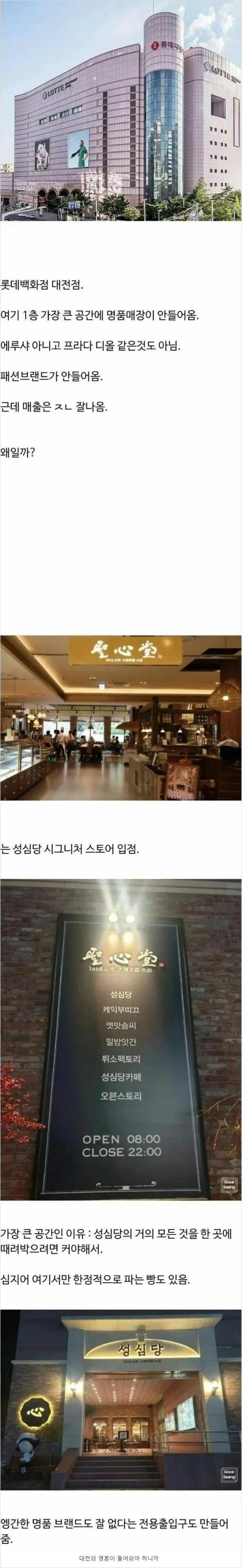 대전 백화점에 명품이 안 들어오는 이유