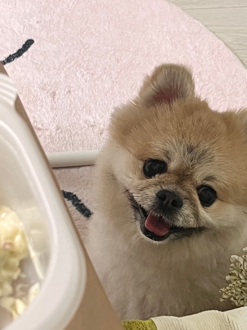 엄마…한입만…