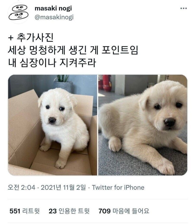 사무실 지킴이 신입사원 