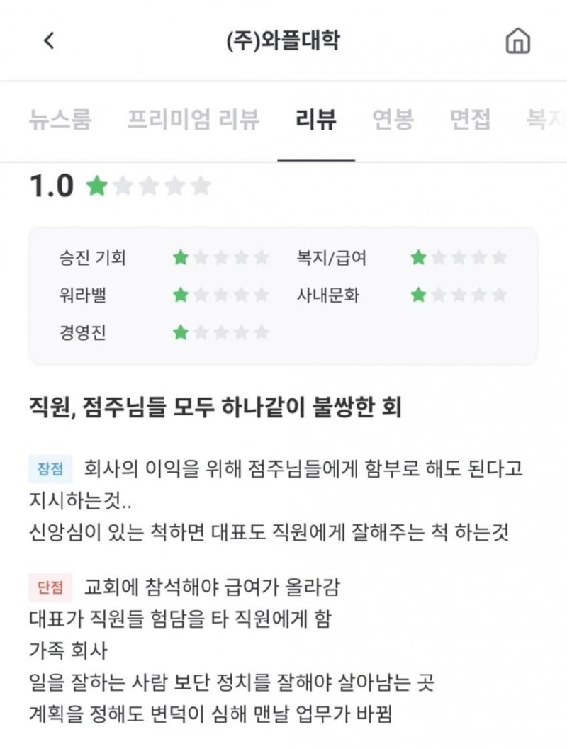 와플 대학 잡플래닛 리뷰
