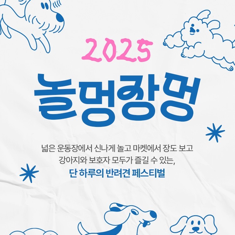 놀멍장멍 2025! 넓은 운동장, 마켓 오픈 행사! 25.09.27